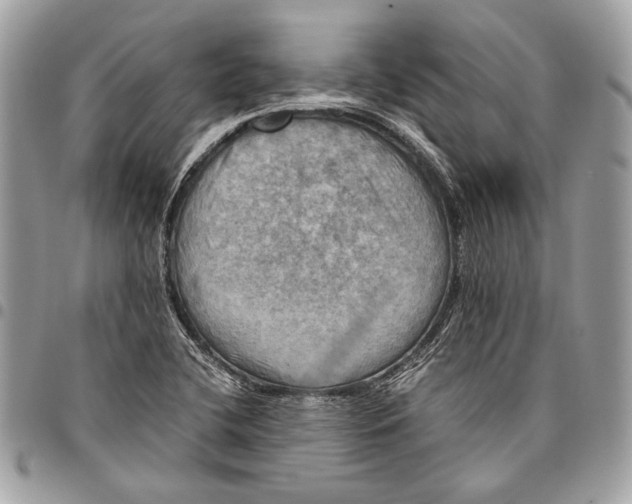 X0000096221412200802081515