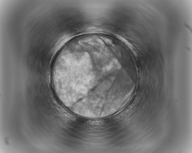 X0000096221415200802081515