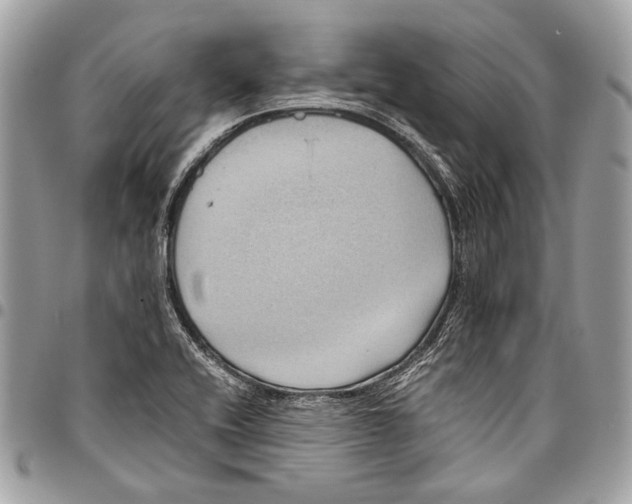 X0000096221416200802081515