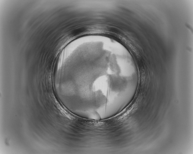 X0000096221417200802081515