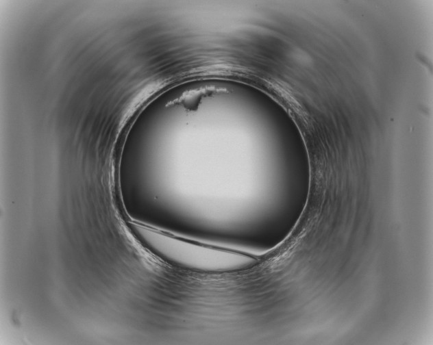 X0000096221418200802081515