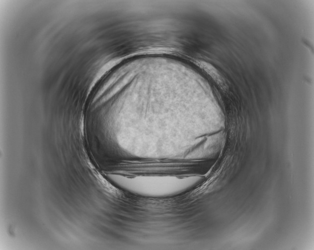 X0000096221420200802081515