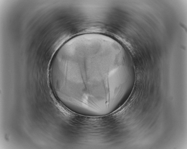 X0000096221423200802081515