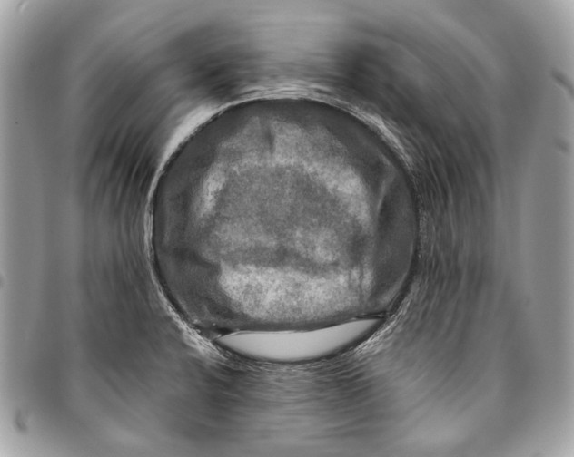 X0000096221424200802081515