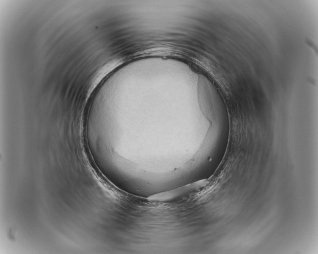 X0000096221426200802081515