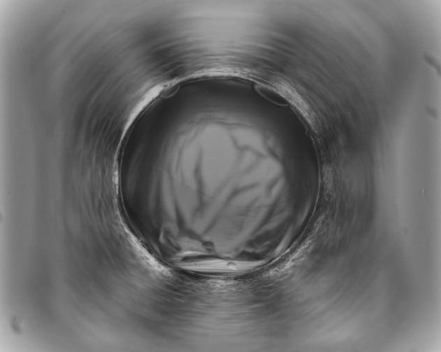 X0000096221428200802081515