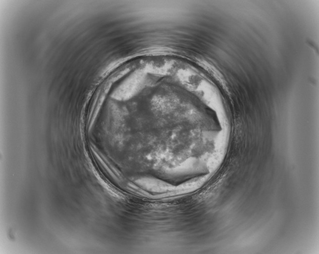 X0000096221429200802081515