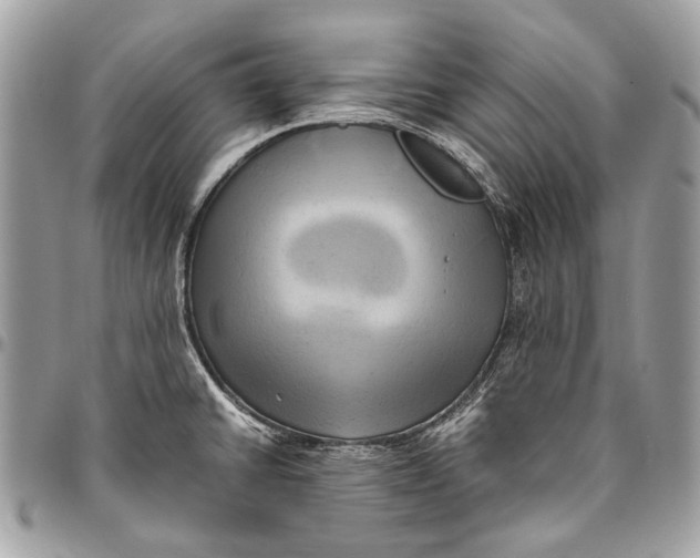 X0000096221430200802081515