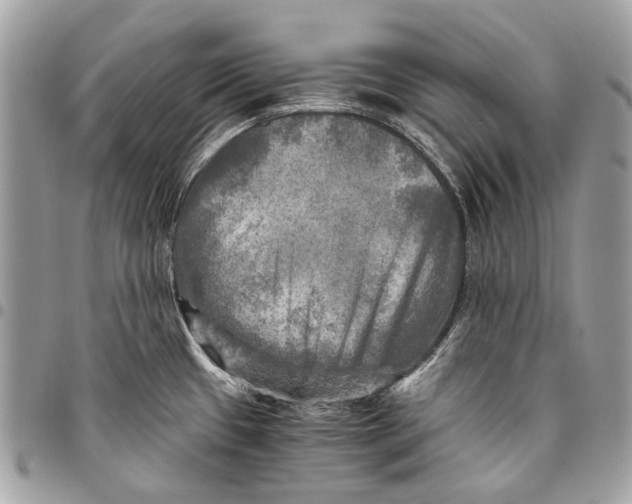 X0000096221433200802081515