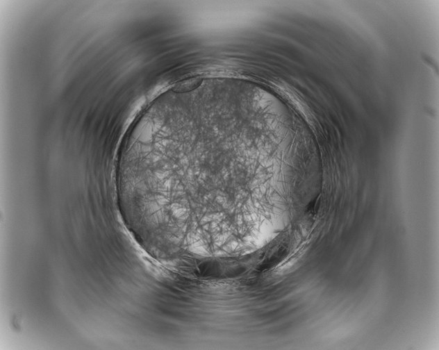 X0000096221434200802081515