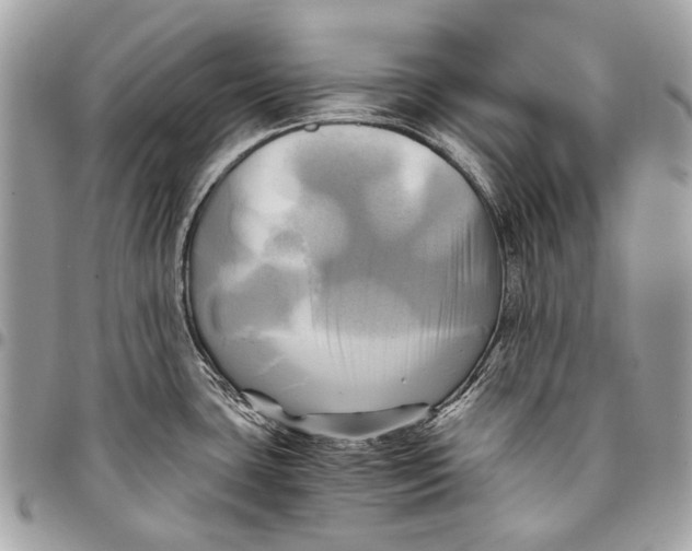 X0000096221435200802081515