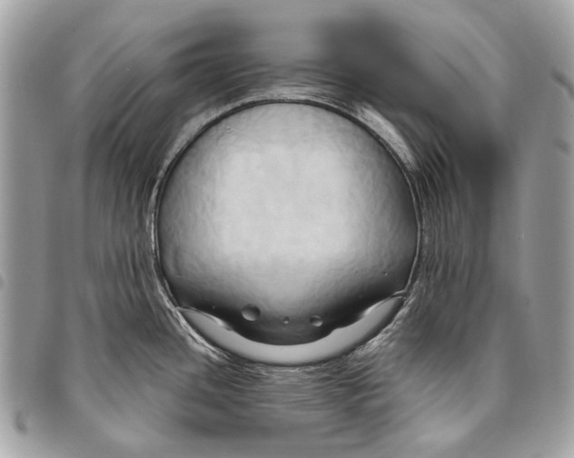 X0000096221436200802081515