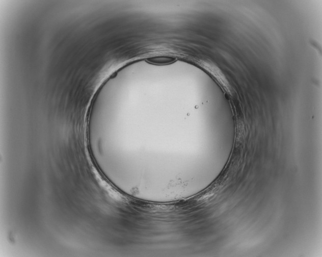 X0000096221439200802081515