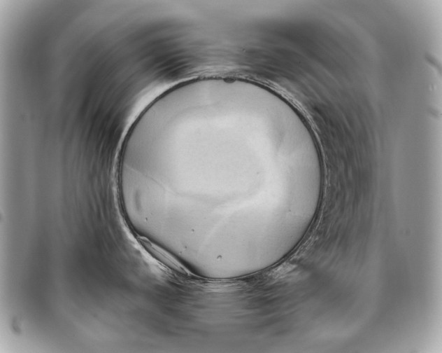 X0000096221440200802081515