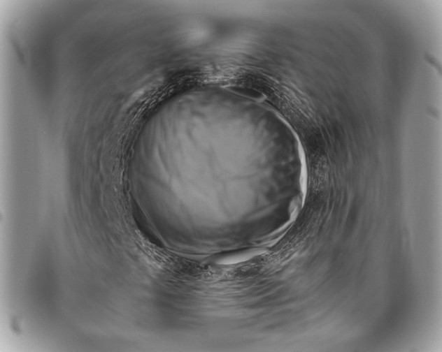 X0000096221441200802081514