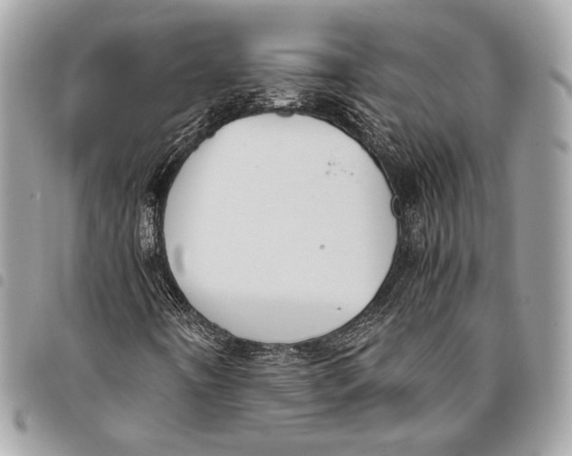 X0000096221442200802081514