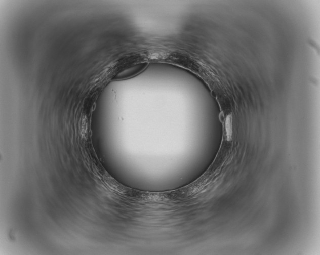 X0000096221443200802081514