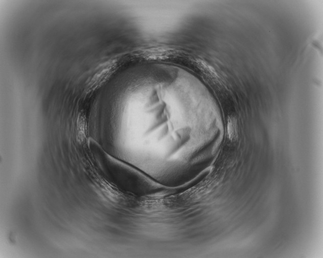 X0000096221444200802081514