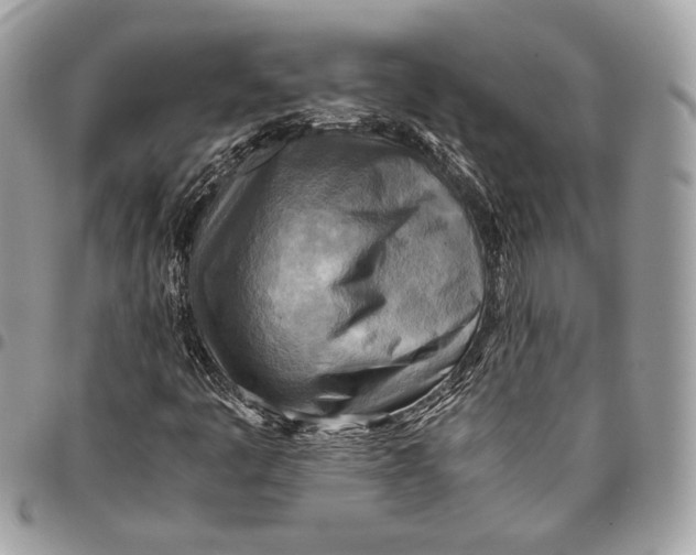 X0000096221445200802081514