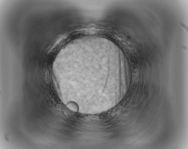 X0000096221446200802081514