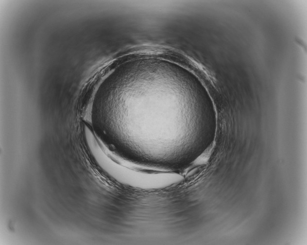 X0000096221448200802081514