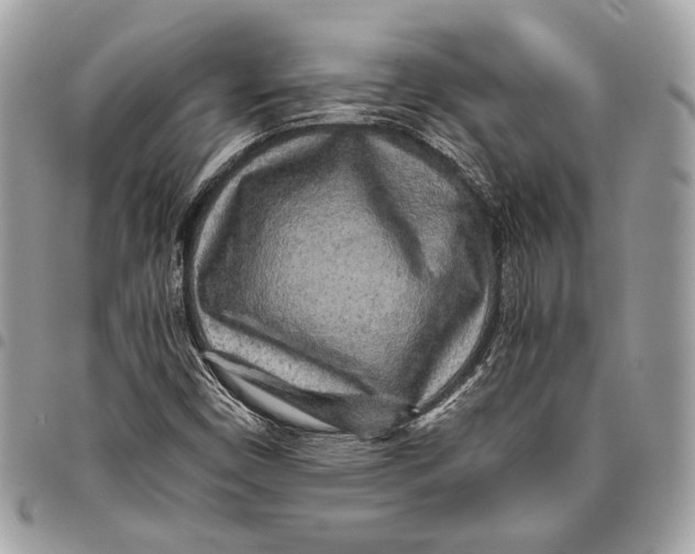 X0000096221450200802081514