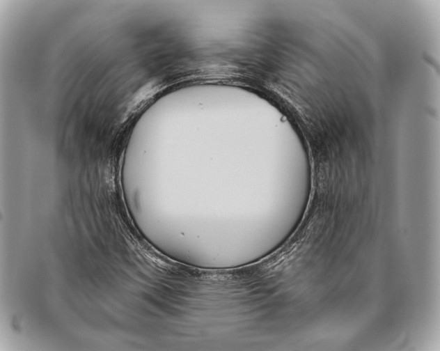 X0000096221451200802081514