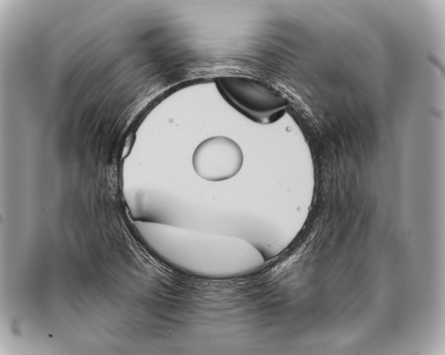 X0000096221457200802081514