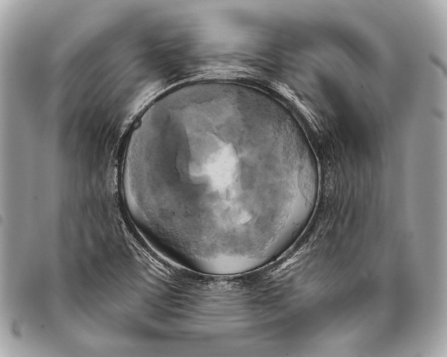 X0000096221459200802081514