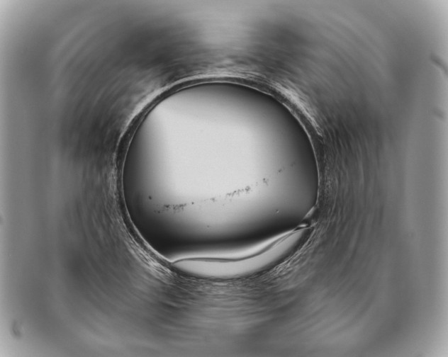 X0000096221460200802081514