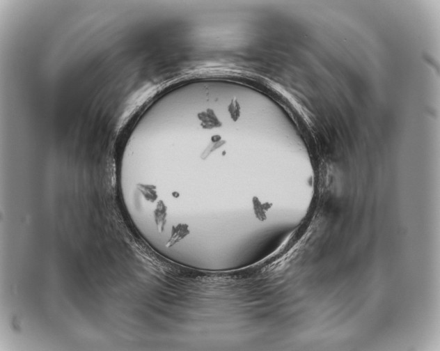 X0000096221461200802081514