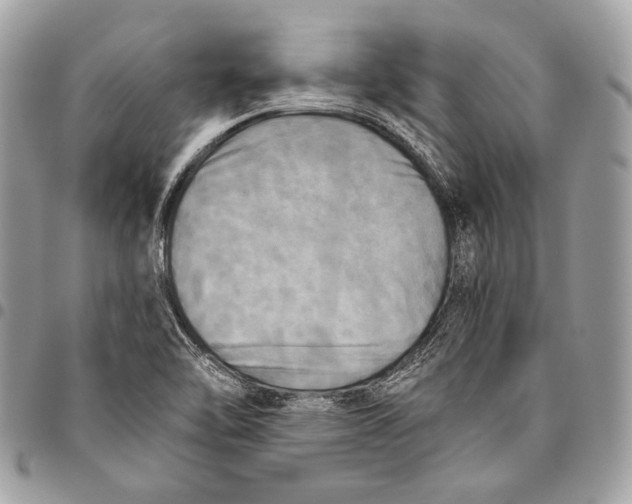 X0000096221462200802081514