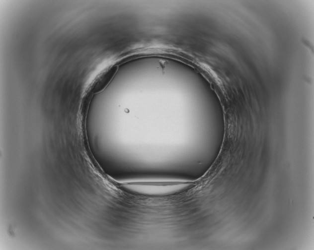 X0000096221464200802081514