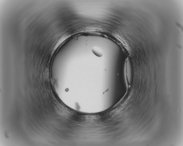 X0000096221465200802081514