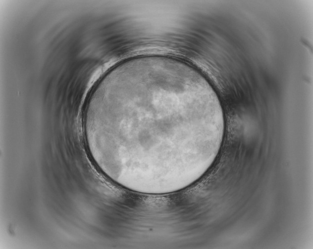 X0000096221466200802081514