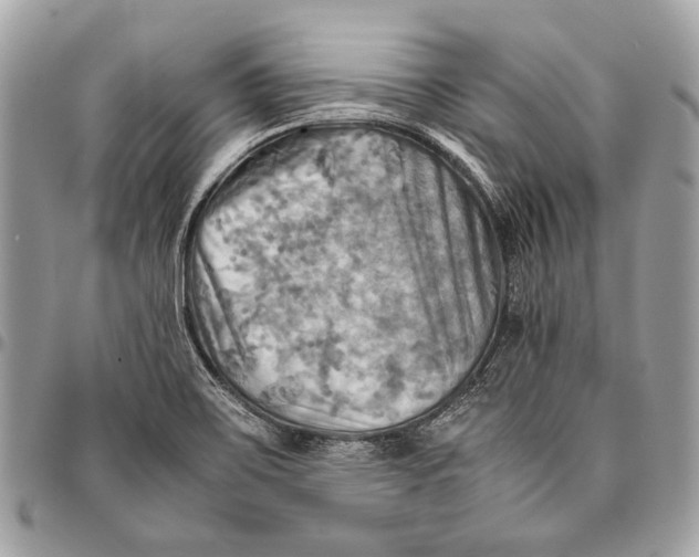 X0000096221467200802081514