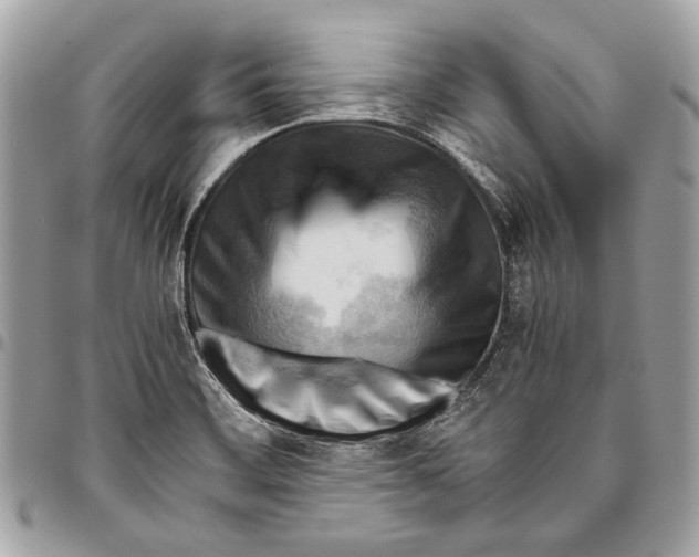 X0000096221468200802081514