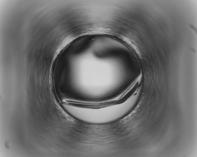 X0000096221469200802081514