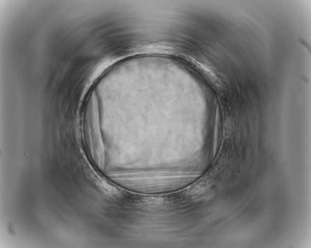 X0000096221470200802081514