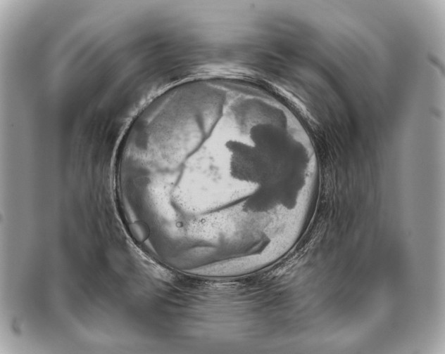 X0000096221471200802081514