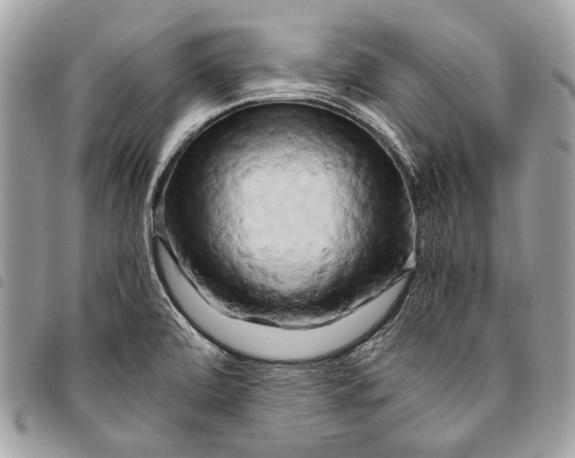 X0000096221472200802081514