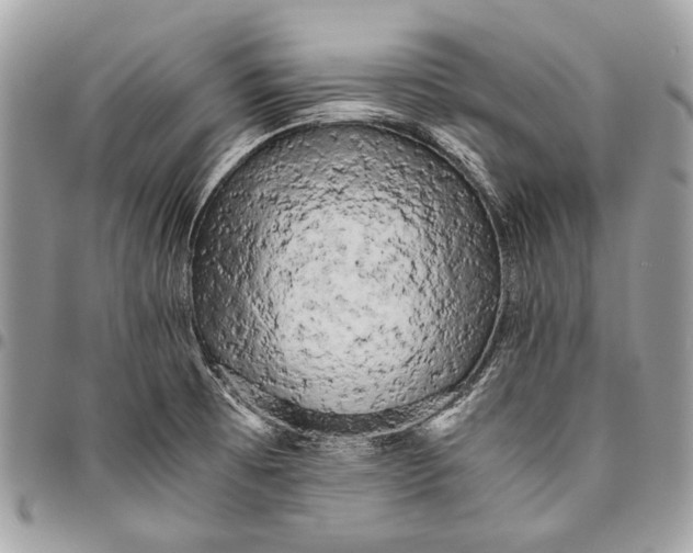 X0000096221473200802081514