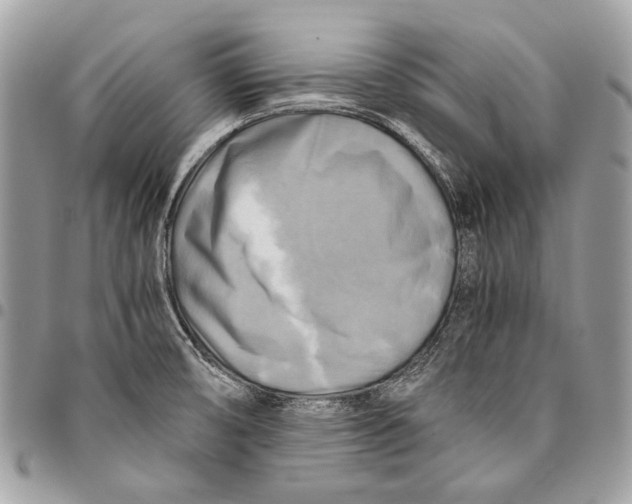 X0000096221474200802081514