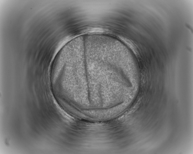 X0000096221475200802081514