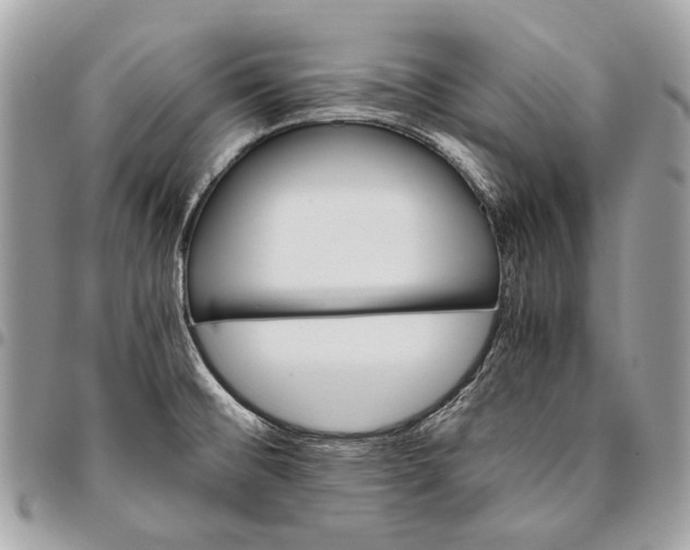 X0000096221476200802081514