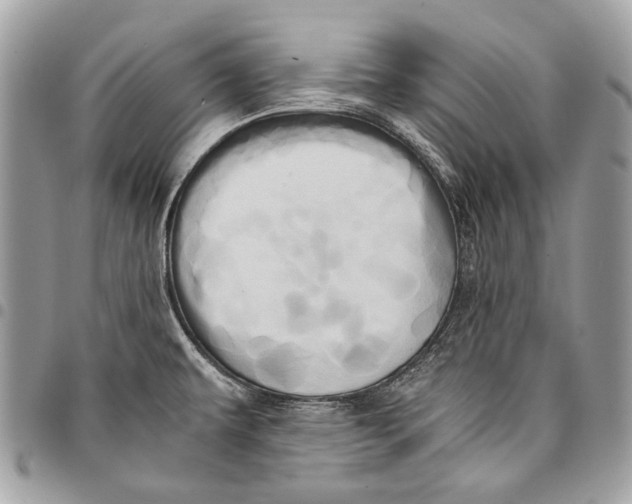 X0000096221479200802081514