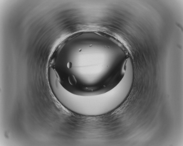 X0000096221480200802081514