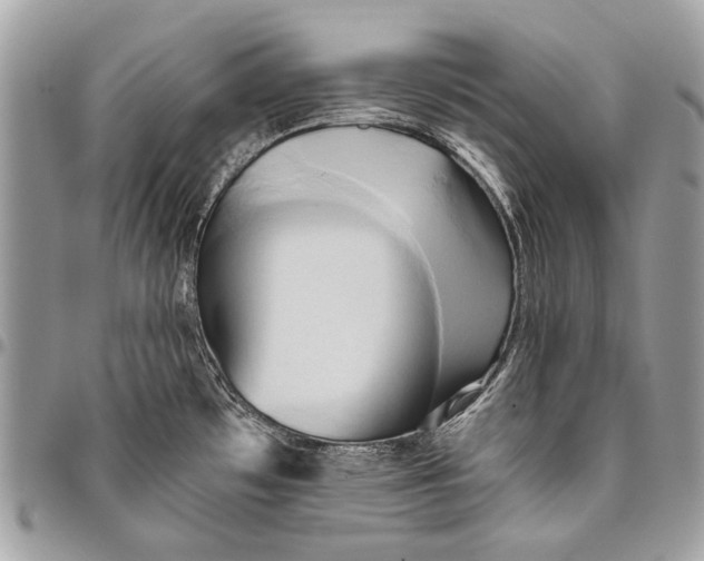 X0000096221481200802081514