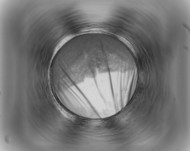 X0000096221482200802081514