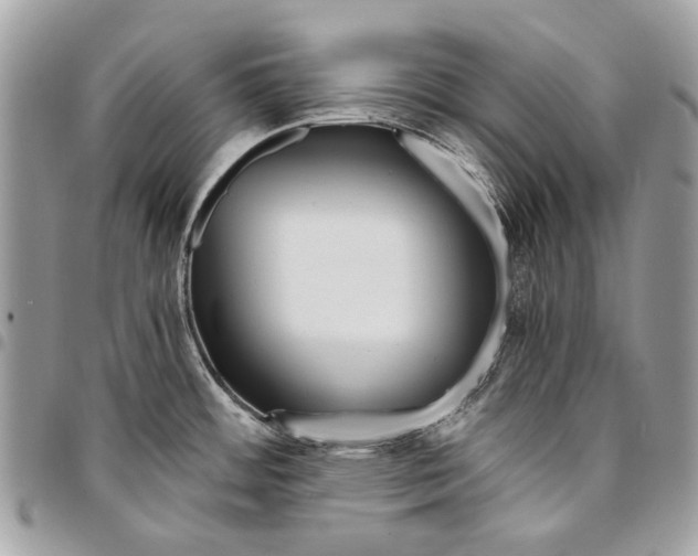 X0000096221484200802081514